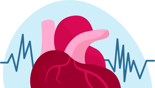 Ilustración de un corazón y sus latidos.
